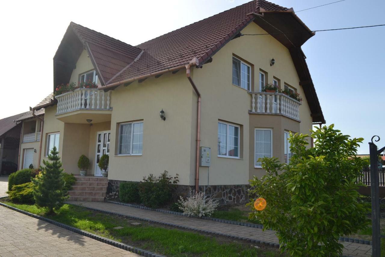 Hotel Margareta Vendeghaz Lupeni  Exterior foto