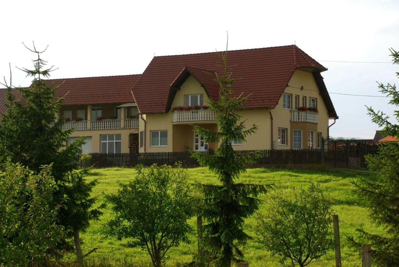 Hotel Margareta Vendeghaz Lupeni  Exterior foto